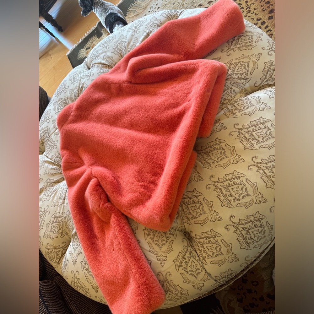 Teddy bear short plush coat - hardly worn - so soft! Purchased at anthropology